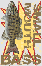 smallmouth_skreened_small