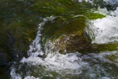_IMG4168 _IMG4168