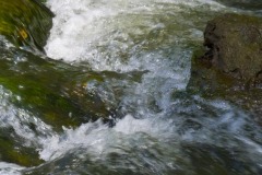 _IMG4170 _IMG4170