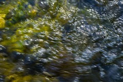 _IMG4171 _IMG4171