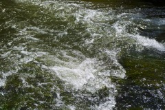 _IMG4172 _IMG4172
