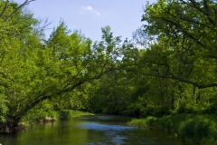 _IMG4174 _IMG4174