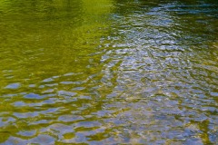 _IMG4176 _IMG4176