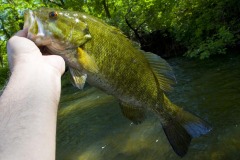 _IMG4178 _IMG4178