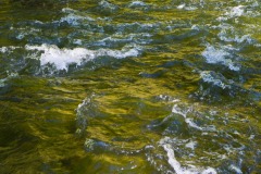 _IMG4183 _IMG4183