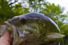 _IMG4140 _IMG4140