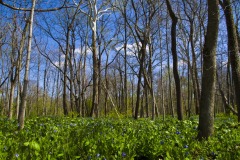 _IMG3818 _IMG3818