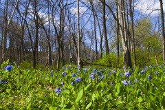 _IMG3821 _IMG3821