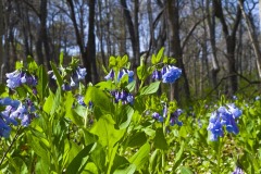 _IMG3823 _IMG3823