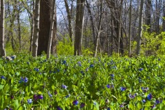 _IMG3824 _IMG3824