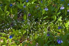 _IMG3830 _IMG3830