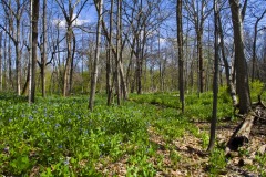 _IMG3833 _IMG3833