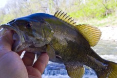 _IMG3836 _IMG3836