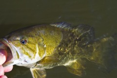 _IMG3839 _IMG3839