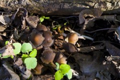_IMG3845 _IMG3845