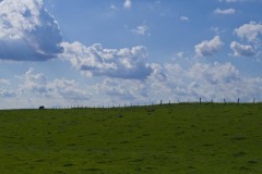 _IMG0164 _IMG0164