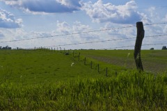 _IMG0167 _IMG0167