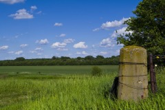 _IMG0168 _IMG0168