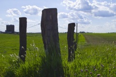 _IMG0171 _IMG0171
