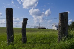 _IMG0173 _IMG0173