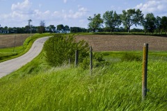 _IMG0180 _IMG0180