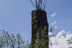 _IMG0183 _IMG0183