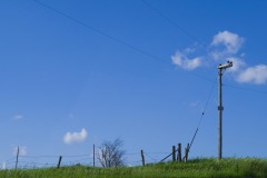 _IMG0185 _IMG0185