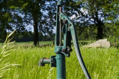 _IMG0189 _IMG0189