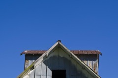 _IMG0193 _IMG0193