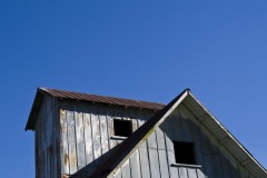 _IMG0196 _IMG0196