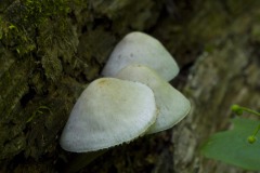 _IMG9607 _IMG9607