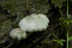 _IMG9608 _IMG9608