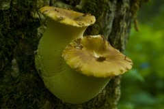 _IMG9610 _IMG9610