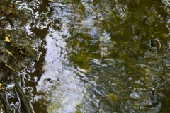 _IMG9612 _IMG9612