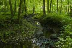 _IMG9614 _IMG9614