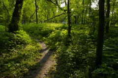 _IMG9628 _IMG9628