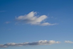 _IMG2359 _IMG2359