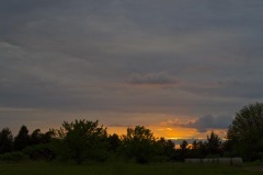 _IMG4206 _IMG4206