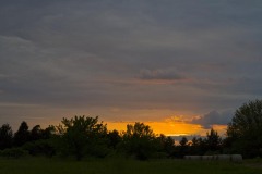 _IMG4207 _IMG4207