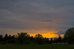 _IMG4208 _IMG4208