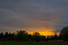 _IMG4209 _IMG4209