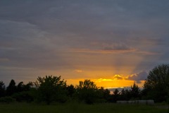_IMG4212 _IMG4212