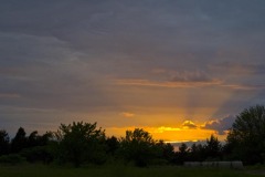 _IMG4213 _IMG4213