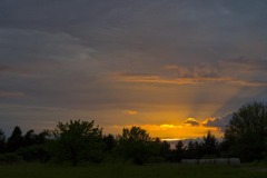 _IMG4215 _IMG4215