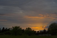 _IMG4217 _IMG4217