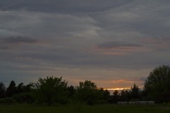 _IMG4218 _IMG4218