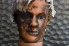 _IMG8341 _IMG8341