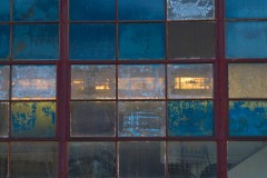 _IMG8342 _IMG8342