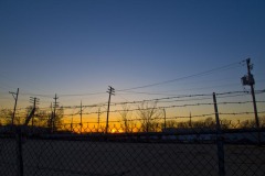 _IMG8347 _IMG8347