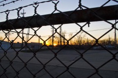 _IMG8350 _IMG8350